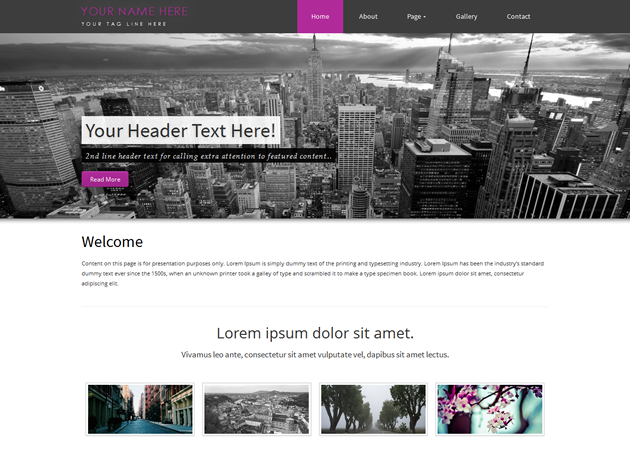 Responsive Bootstrap Theme